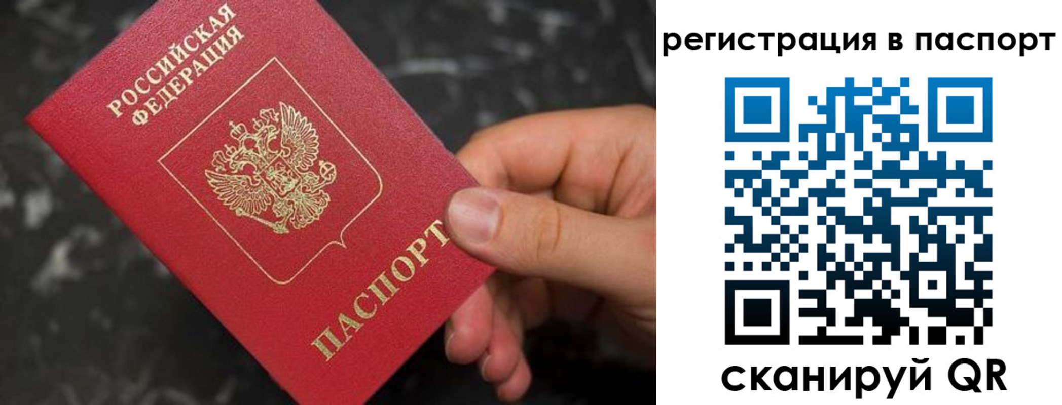 прописка для работы в Химках